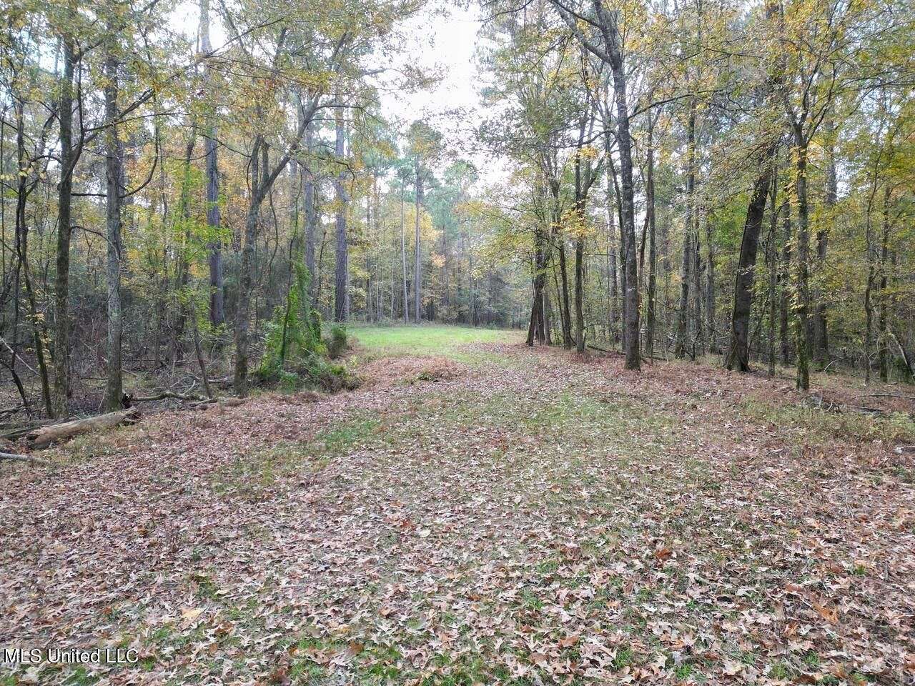 94 Acres of Recreational Land & Farm for Sale in Roxie, Mississippi