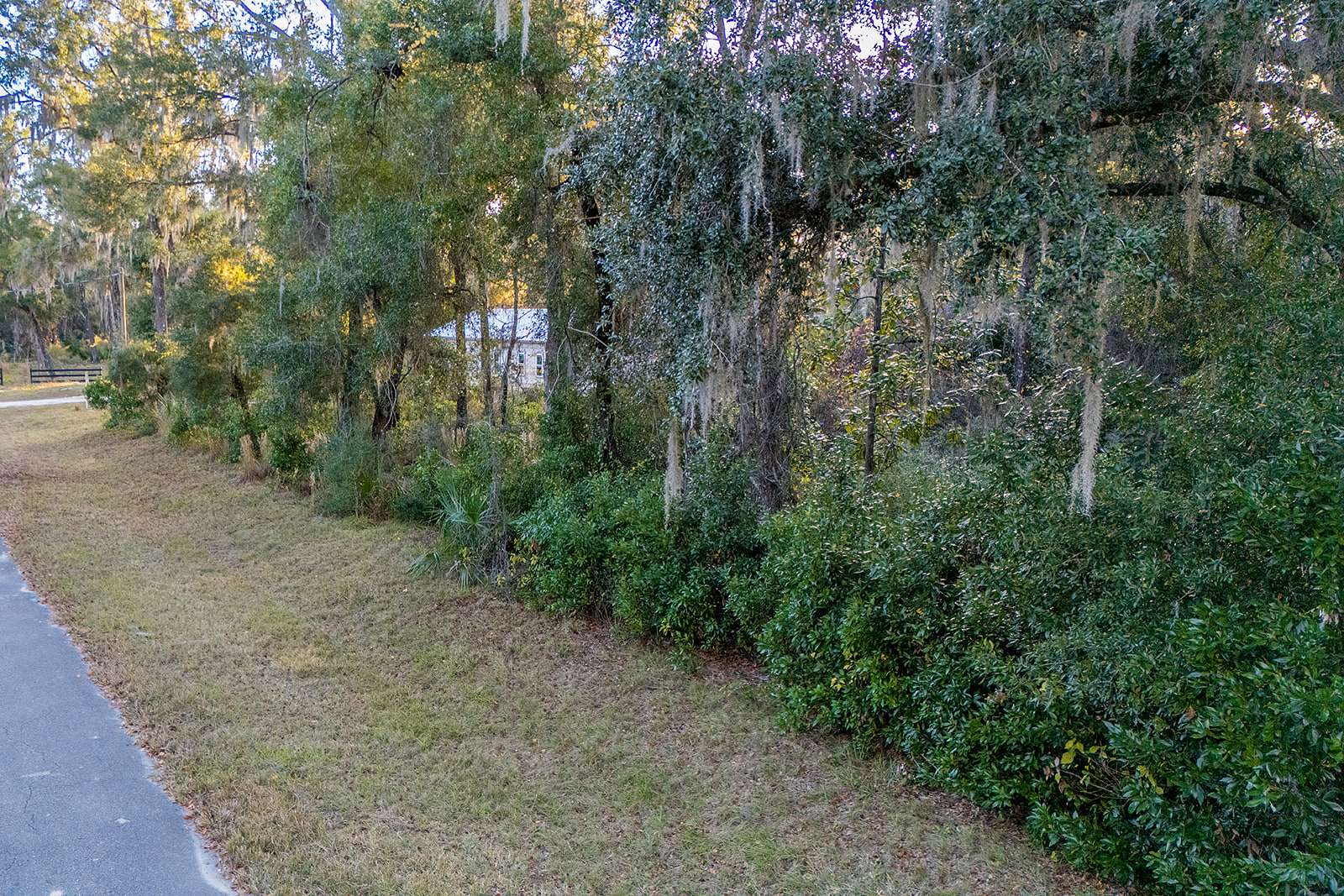 1 Acre of Residential Land for Sale in Chiefland, Florida