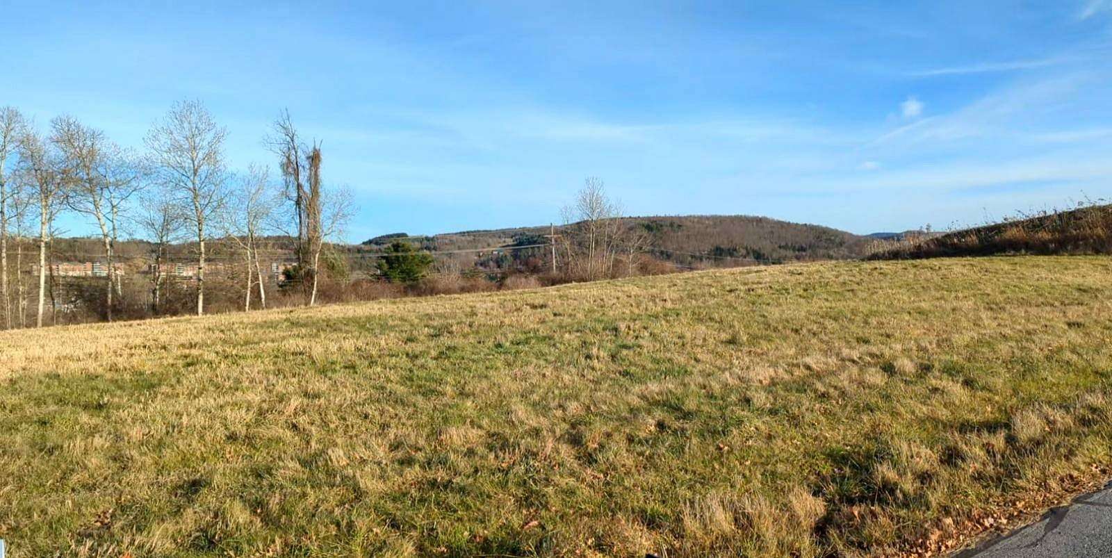 1.8 Acres of Commercial Land for Auction in Mansfield, Pennsylvania