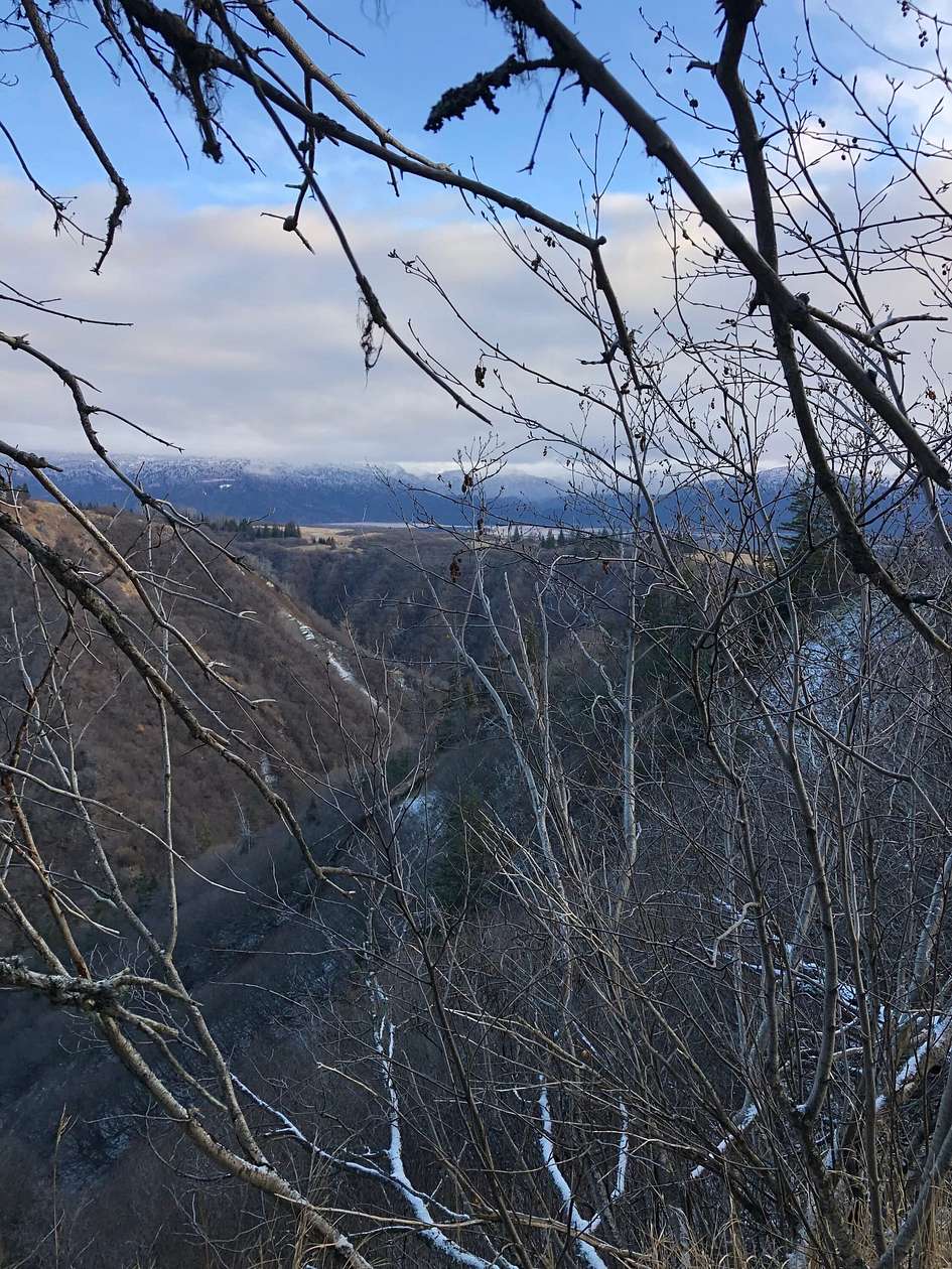 5 Acres of Recreational Land for Sale in Homer, Alaska