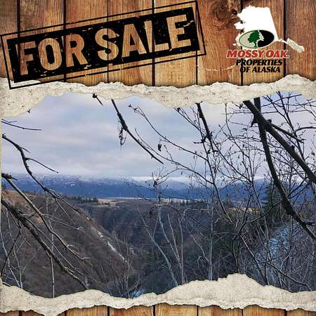 5 Acres of Recreational Land for Sale in Homer, Alaska