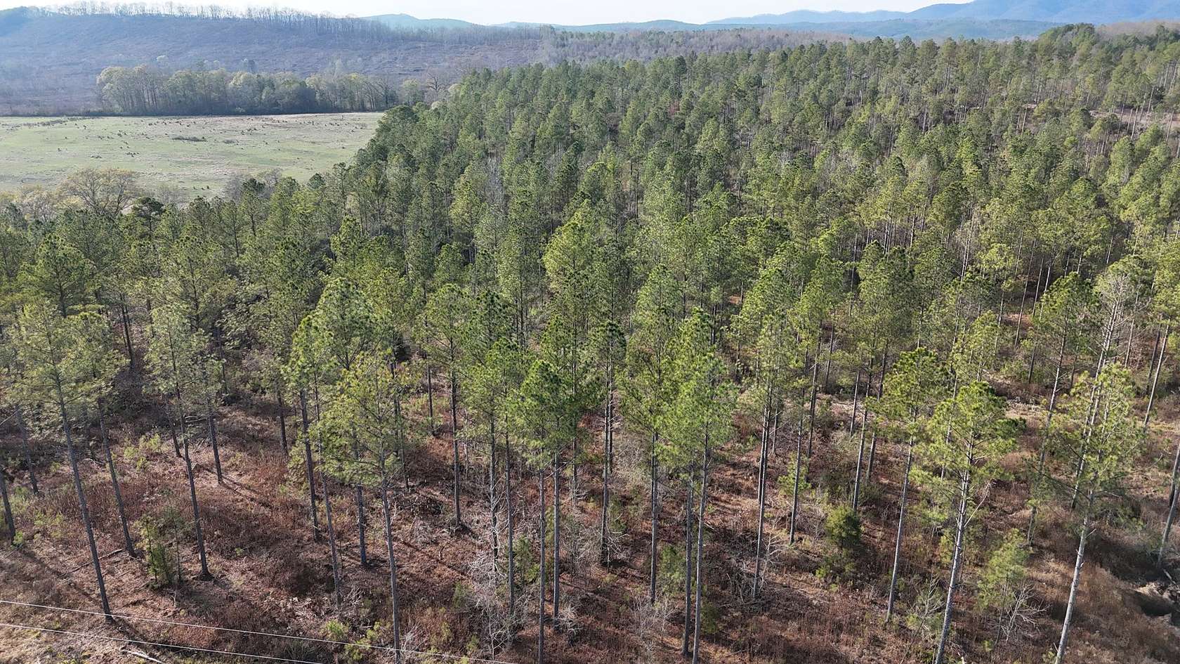 5 Acres of Residential Land for Sale in Piedmont, Alabama