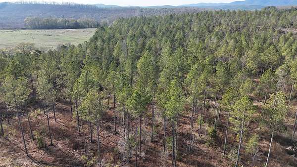5 Acres of Residential Land for Sale in Piedmont, Alabama