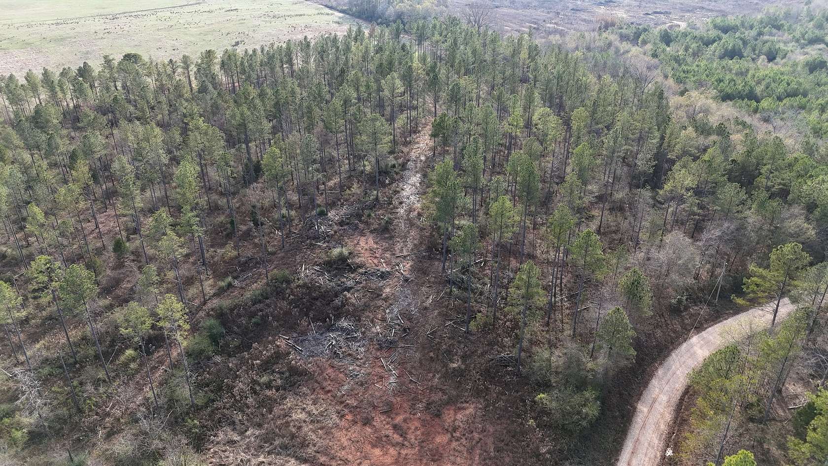 6.18 Acres of Residential Land for Sale in Piedmont, Alabama