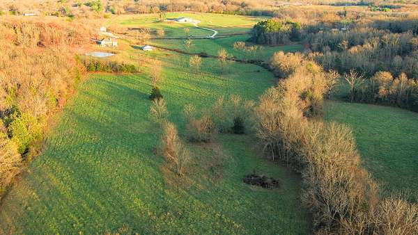 46.3 Acres of Land for Sale in Salem, Missouri