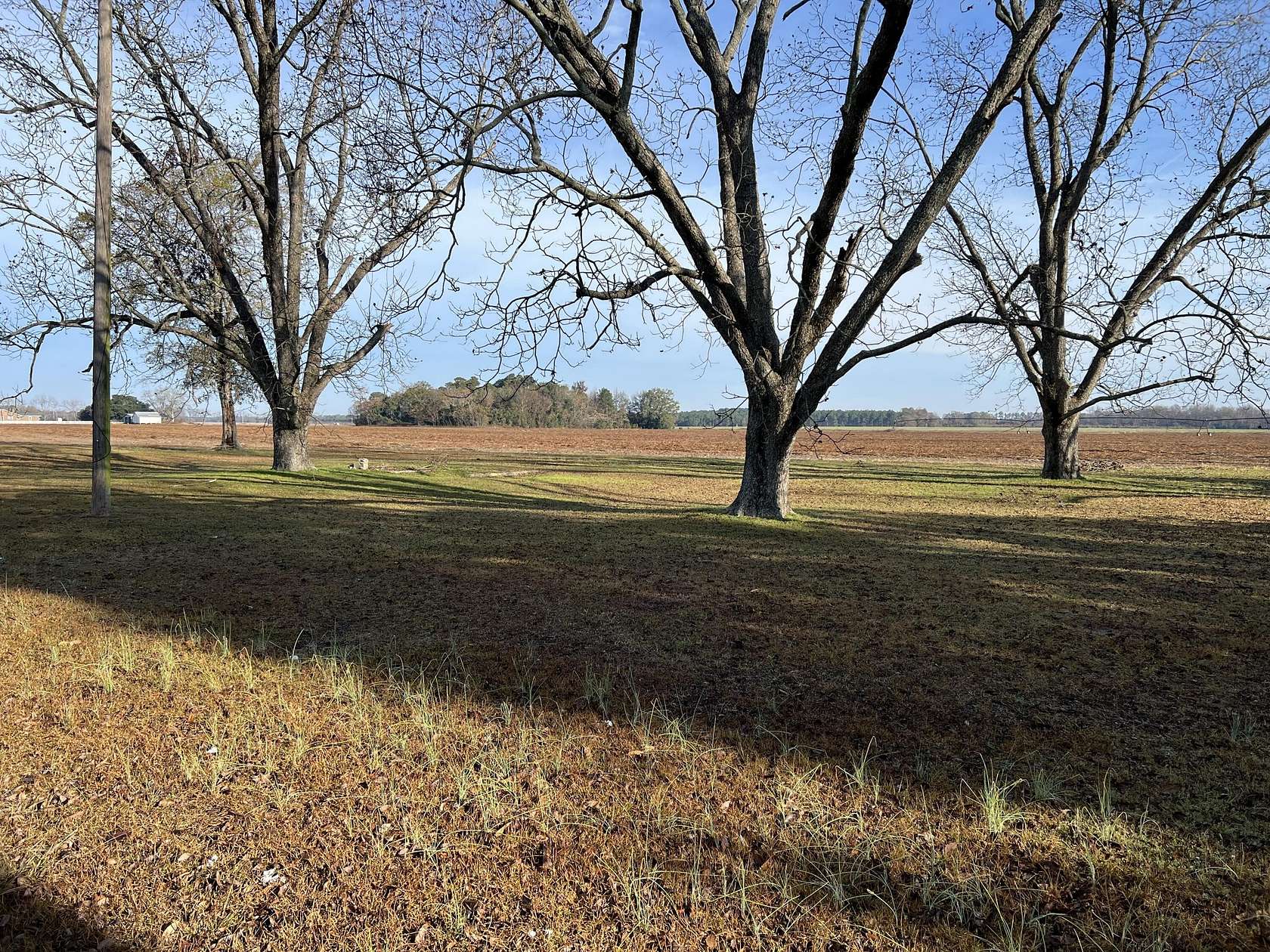 6.43 Acres of Land for Sale in Elloree, South Carolina