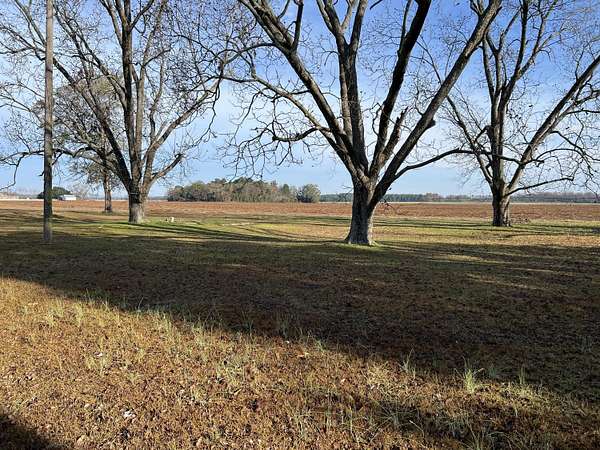 6.43 Acres of Land for Sale in Elloree, South Carolina