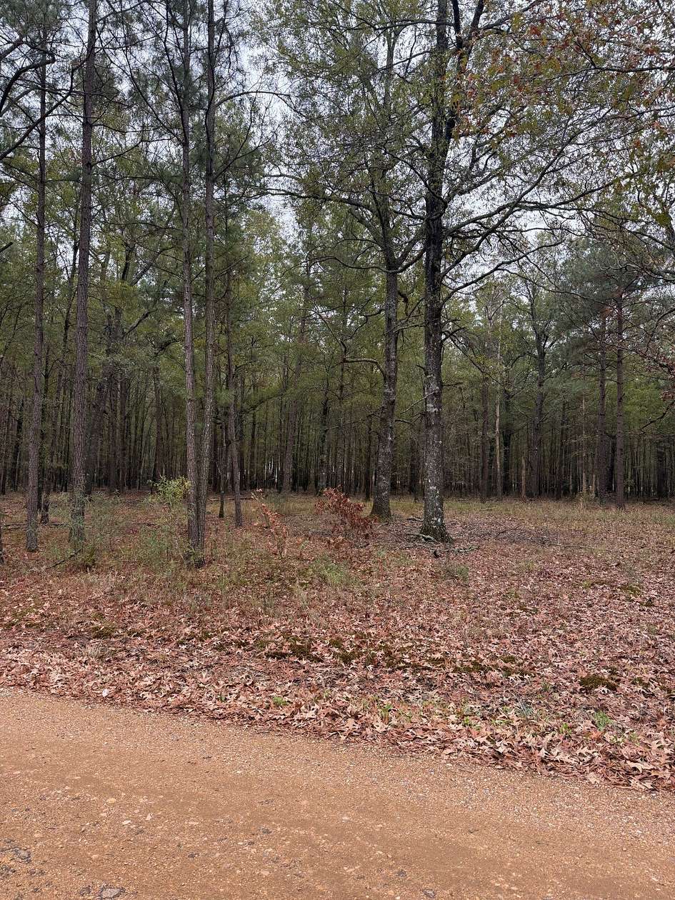5.68 Acres of Residential Land for Sale in Ashdown, Arkansas