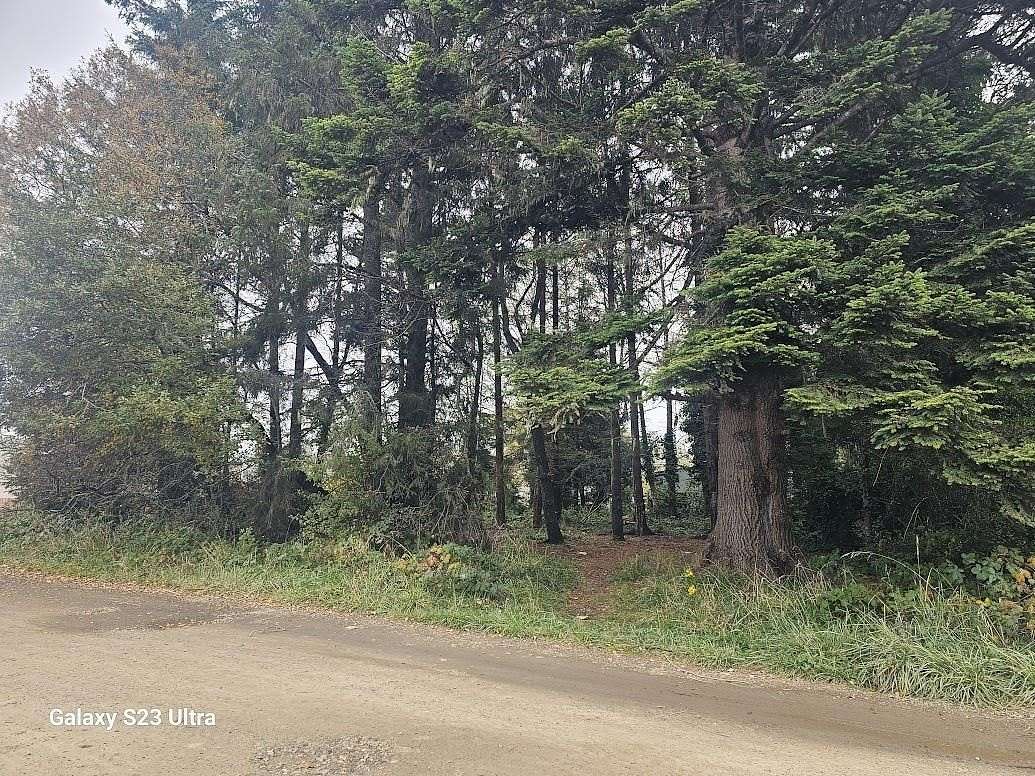 0.23 Acres of Residential Land for Sale in Crescent City, California