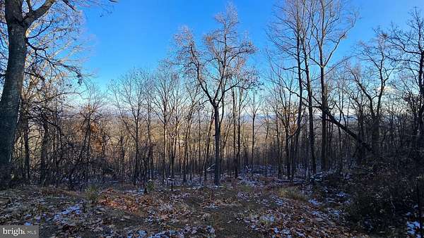5.15 Acres of Residential Land for Sale in Hedgesville, West Virginia