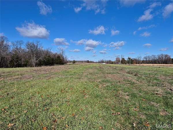 41 Acres of Land for Sale in New Florence, Missouri