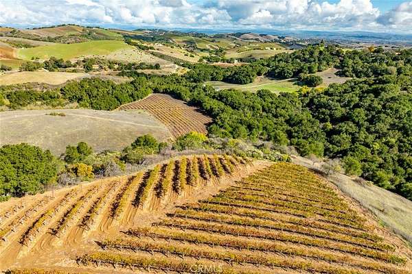 91.7 Acres of Agricultural Land for Sale in Paso Robles, California
