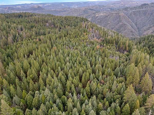 57 Acres of Recreational Land & Farm for Sale in Forbestown, California