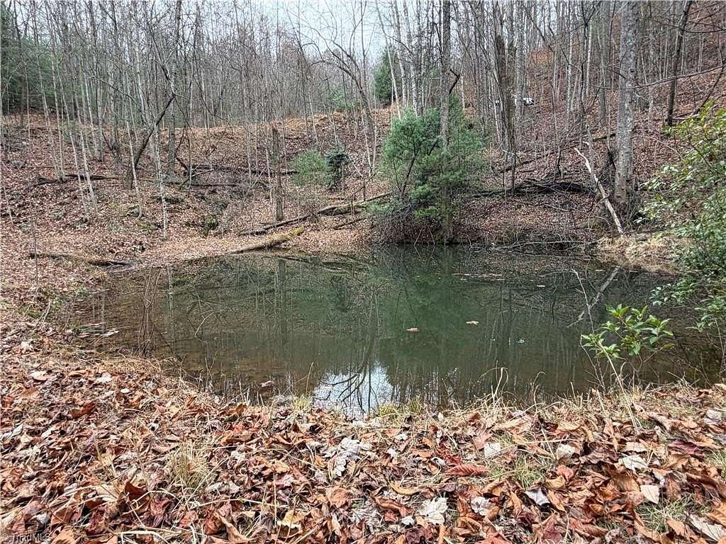 21.7 Acres of Land for Sale in Purlear, North Carolina