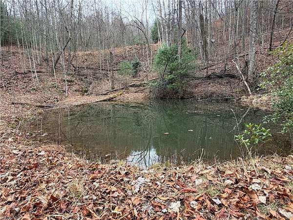 21.7 Acres of Land for Sale in Purlear, North Carolina