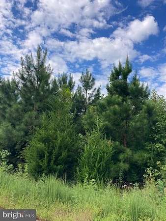 9.44 Acres of Land for Sale in Kinsale, Virginia