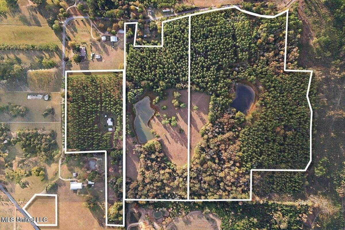 46.2 Acres of Recreational Land for Sale in Magee, Mississippi