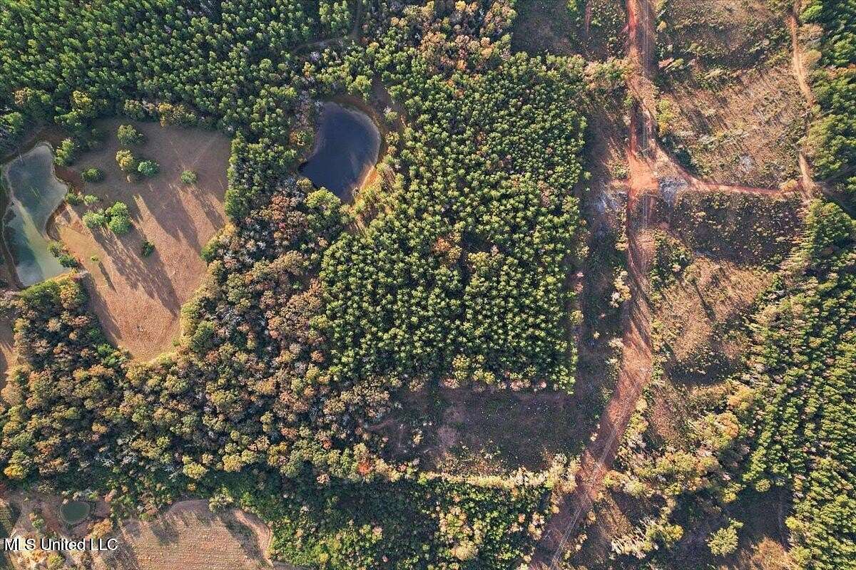 46.2 Acres of Recreational & Residential Land for Sale in Magee, Mississippi