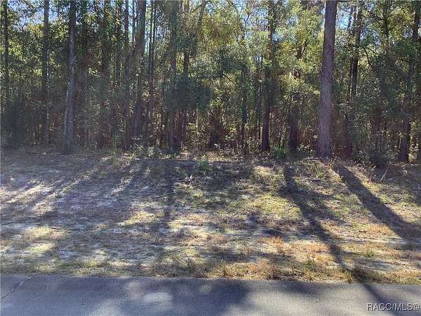 0.27 Acres of Residential Land for Sale in Ocala, Florida