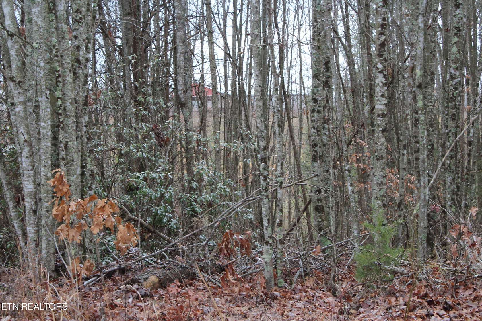 0.72 Acres of Residential Land for Sale in Jamestown, Tennessee