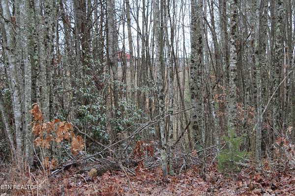 0.72 Acres of Residential Land for Sale in Jamestown, Tennessee