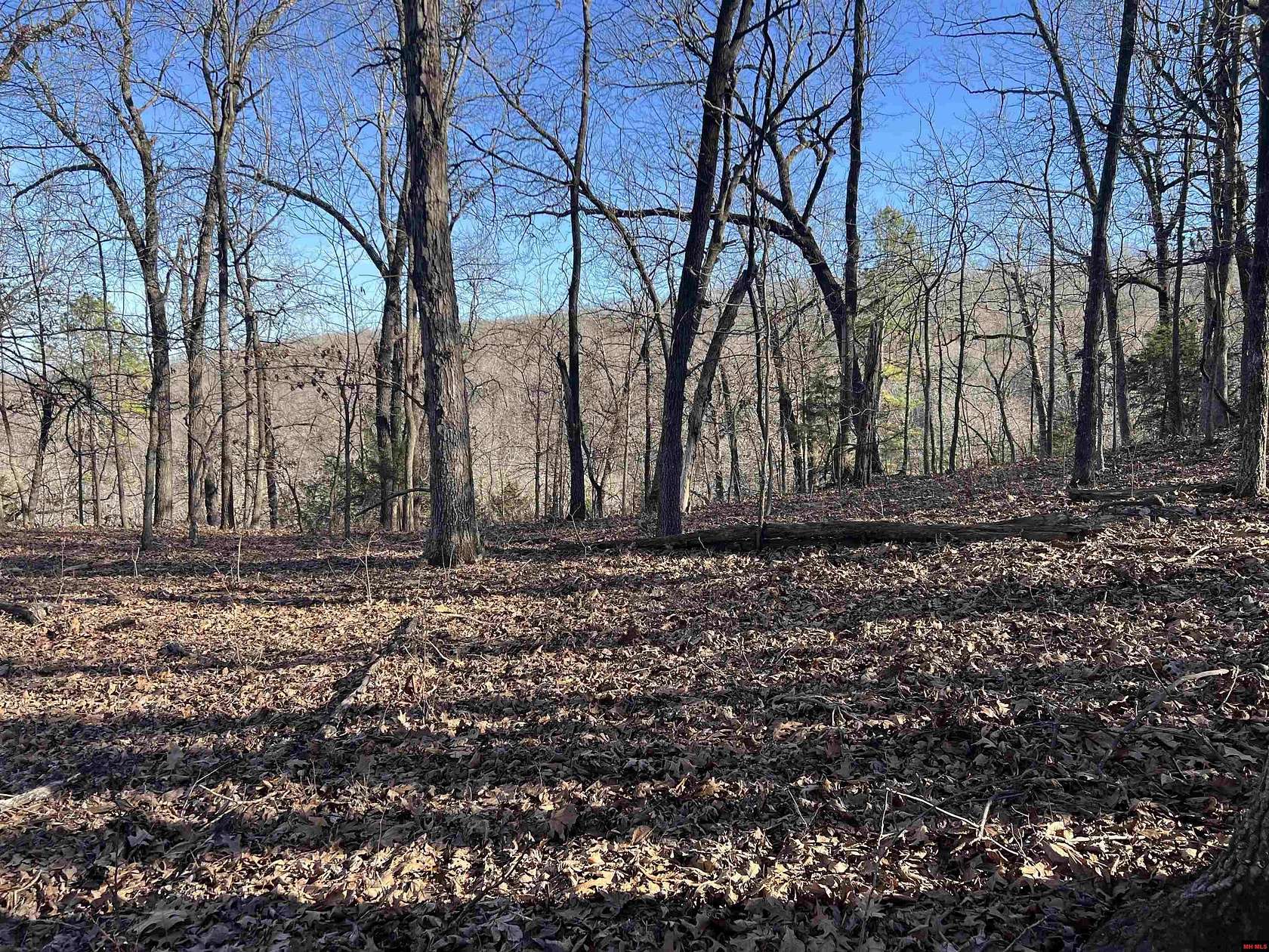 39 Acres of Recreational Land for Sale in Yellville, Arkansas