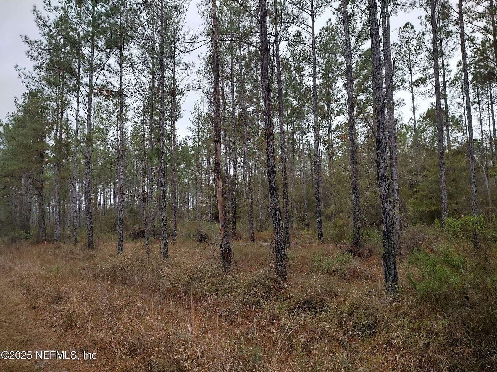 14.1 Acres of Recreational & Residential Land for Sale in Glen St. Mary, Florida