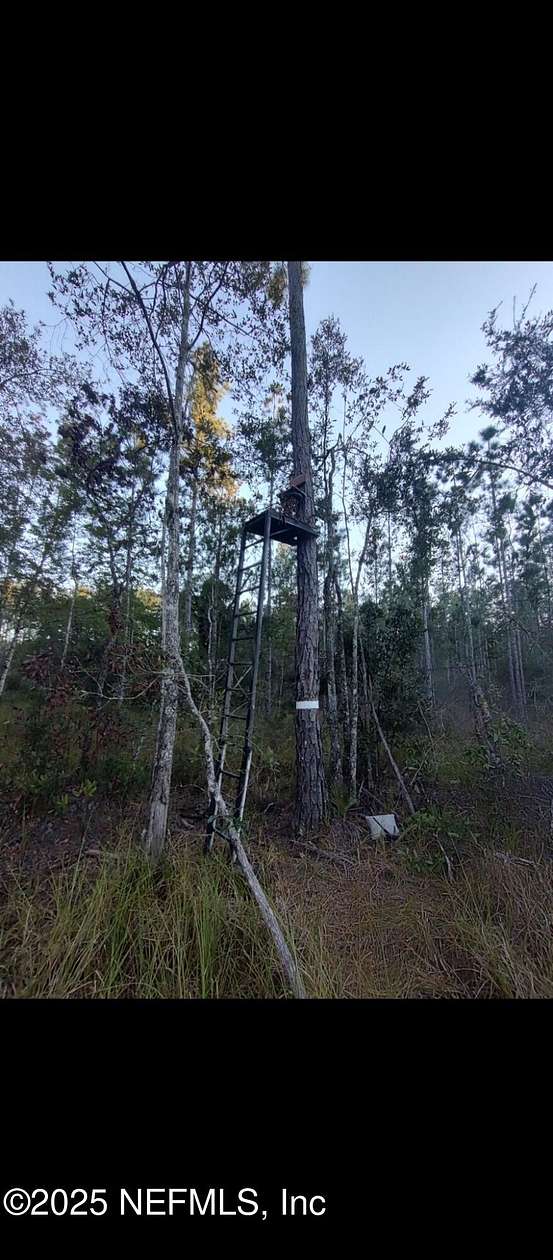 14.1 Acres of Recreational Land for Sale in Glen St. Mary, Florida