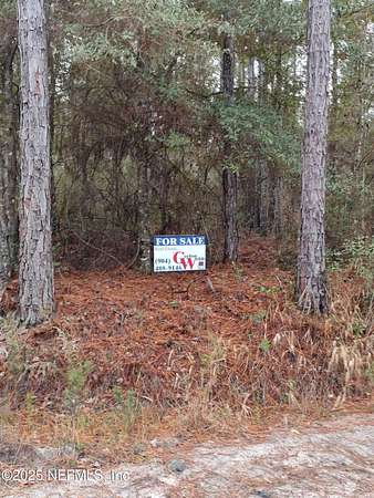 14.1 Acres of Recreational Land for Sale in Glen St. Mary, Florida