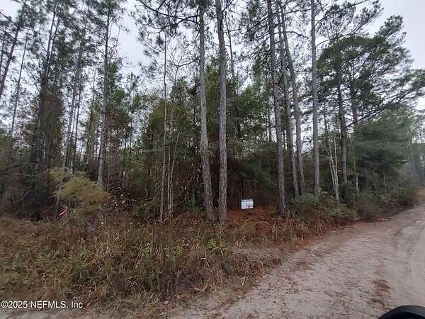14.1 Acres of Recreational Land for Sale in Glen St. Mary, Florida