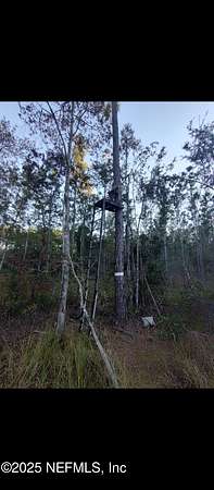 14.1 Acres of Recreational Land for Sale in Glen St. Mary, Florida