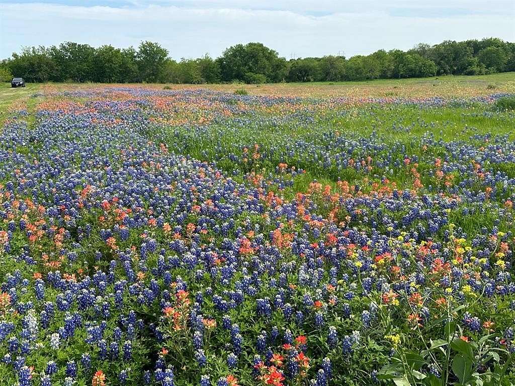 5.61 Acres of Residential Land for Sale in Ennis, Texas