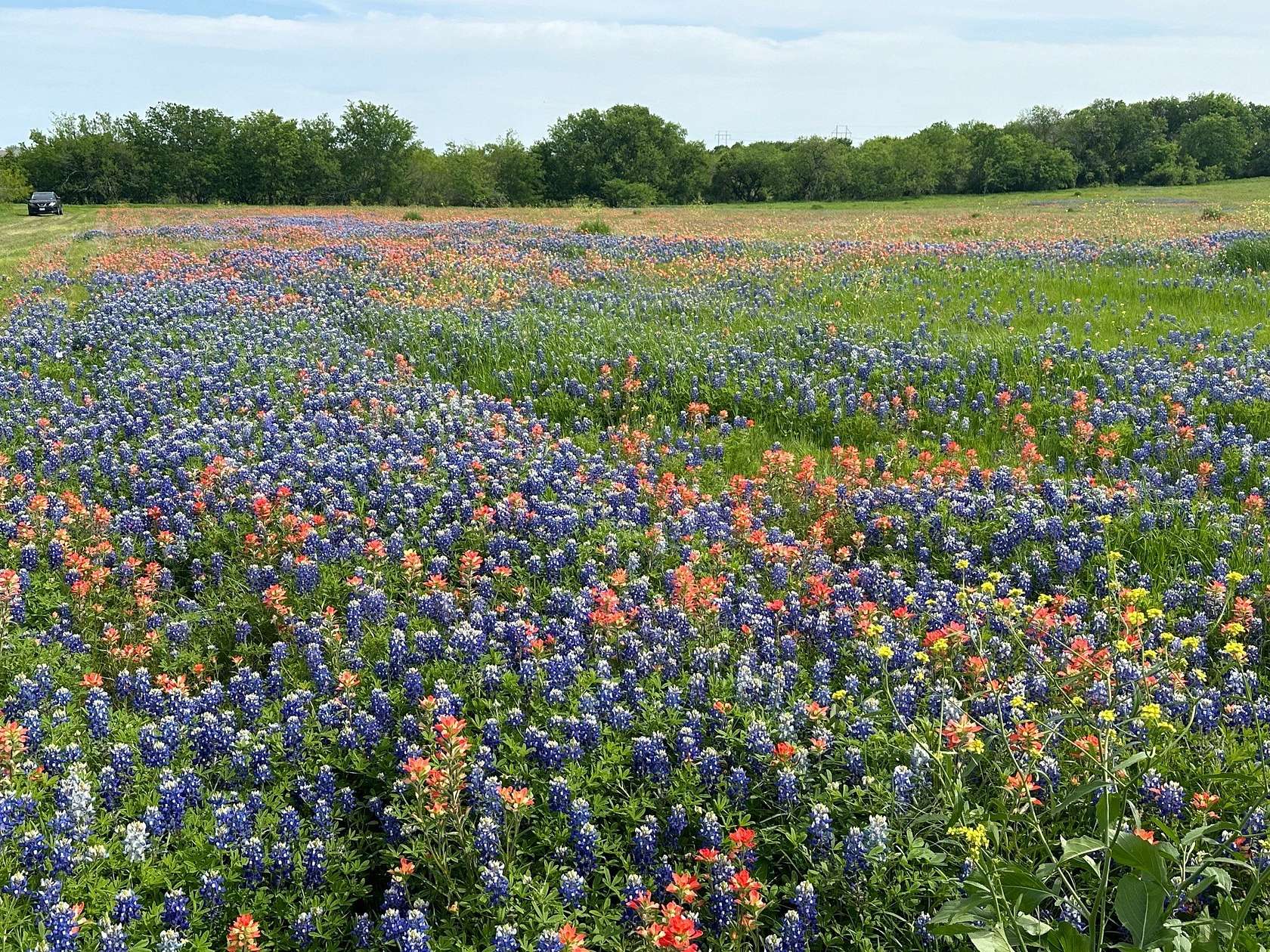 5.61 Acres of Residential Land for Sale in Ennis, Texas