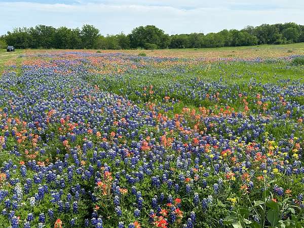 5.61 Acres of Residential Land for Sale in Ennis, Texas