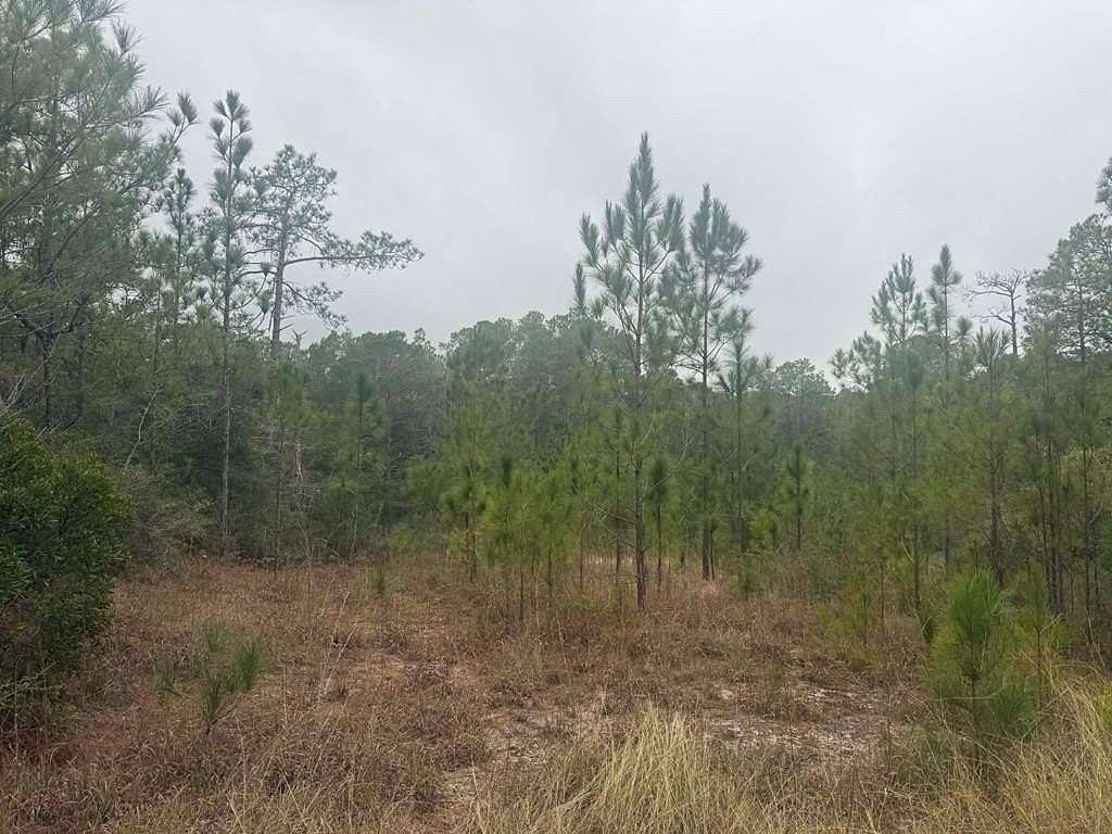 0.51 Acres of Residential Land for Sale in Brookeland, Texas