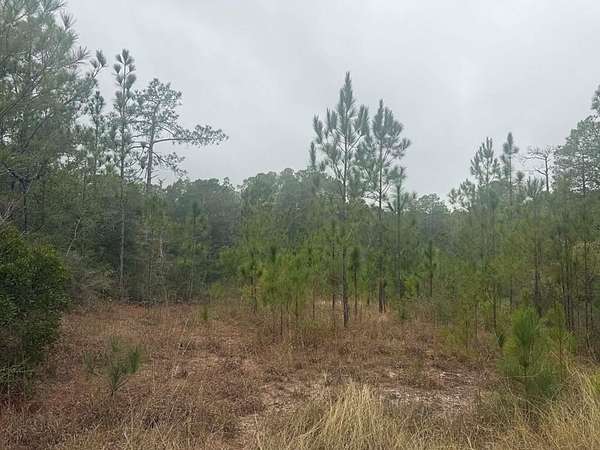0.51 Acres of Residential Land for Sale in Brookeland, Texas