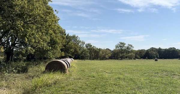 32.3 Acres of Land for Sale in Van Alstyne, Texas