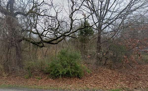 0.39 Acres of Land for Sale in Tool, Texas