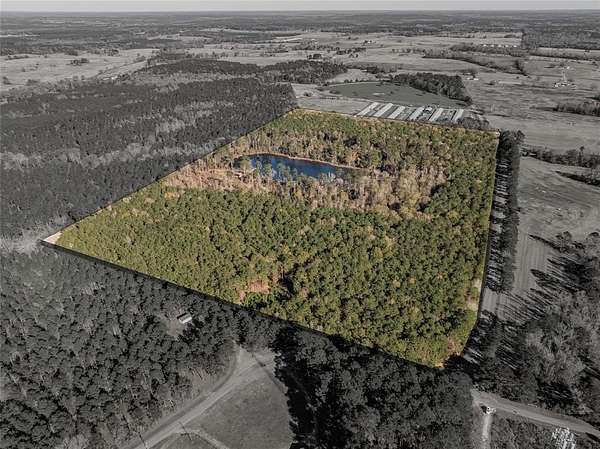 62 Acres of Recreational Land for Sale in Athens, Louisiana