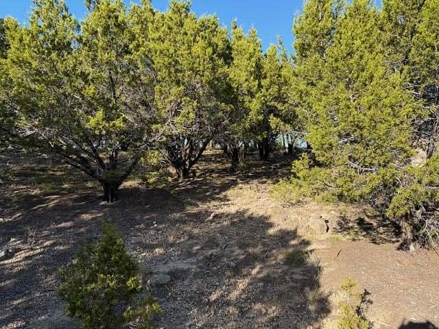 2 Acres of Residential Land for Sale in Graford, Texas