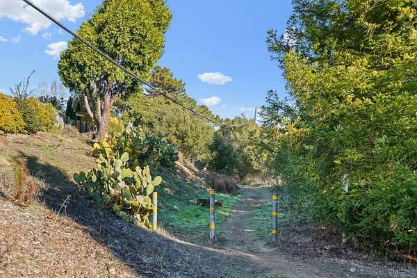 19.8 Acres of Land for Sale in Belmont, California