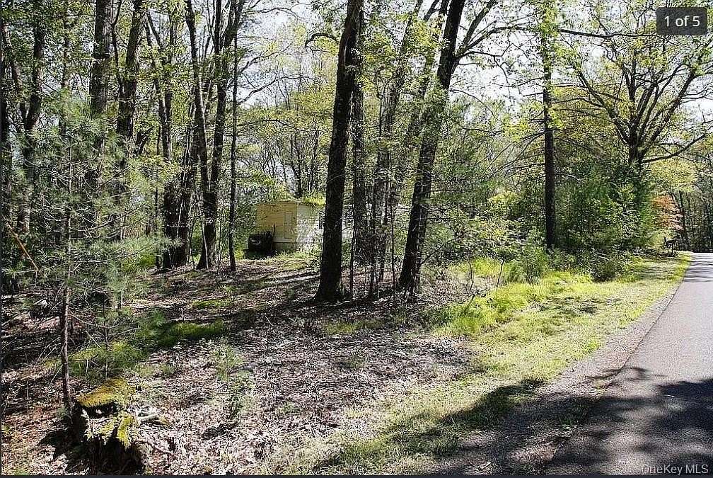 2.4 Acres of Residential Land with Home for Sale in Olive Town, New York