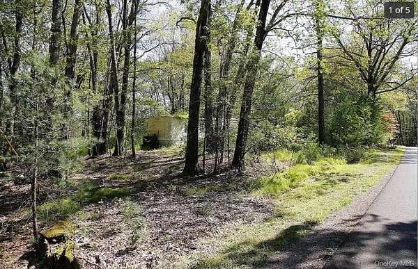 2.4 Acres of Residential Land for Sale in Olive Town, New York