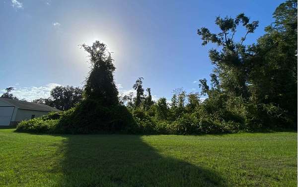 0.69 Acres of Residential Land for Sale in Lake City, Florida