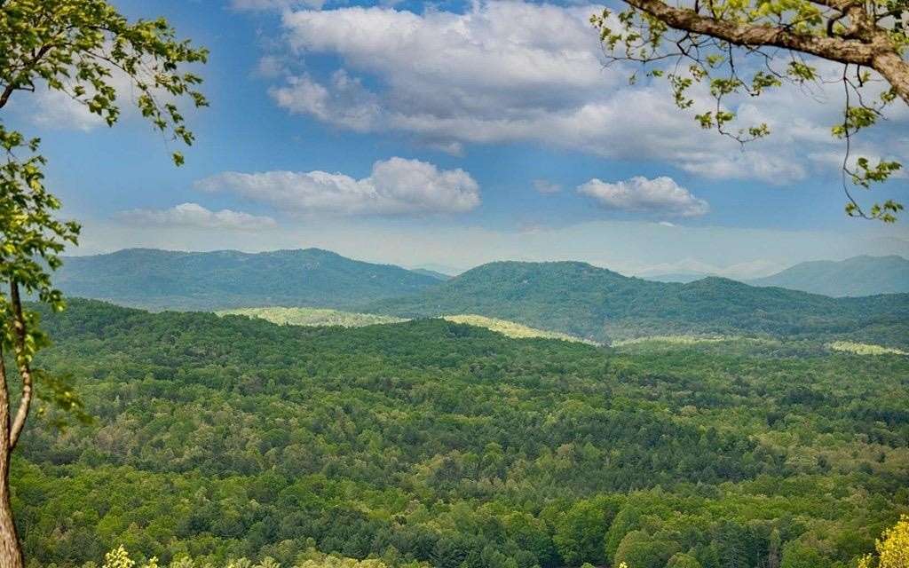 1.15 Acres of Land for Sale in Morganton, Georgia
