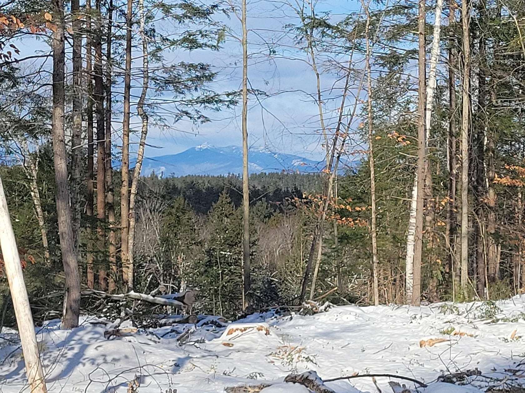 20.8 Acres of Recreational Land with Home for Sale in Ossipee, New Hampshire