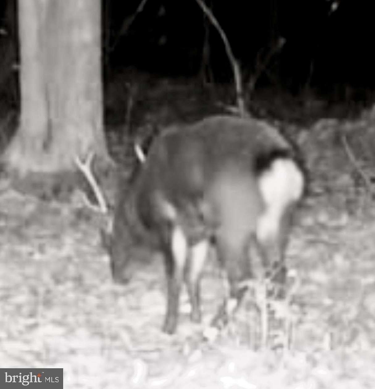 47.3 Acres of Recreational Land for Sale in Cambridge, Maryland