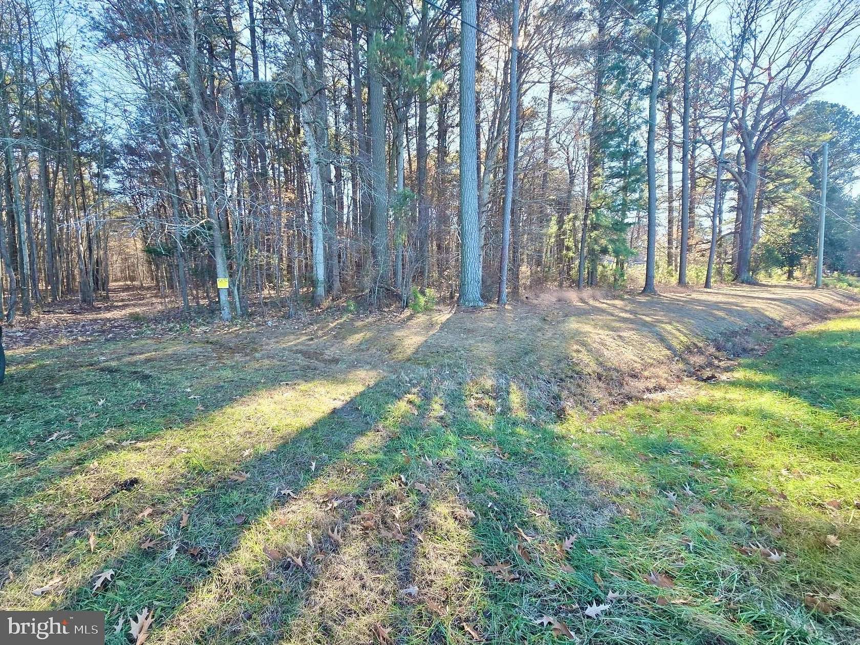 47.3 Acres of Recreational Land for Sale in Cambridge, Maryland