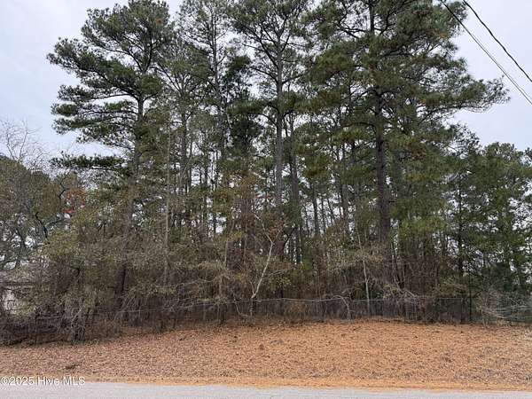 0.46 Acres of Residential Land for Sale in Carthage, North Carolina