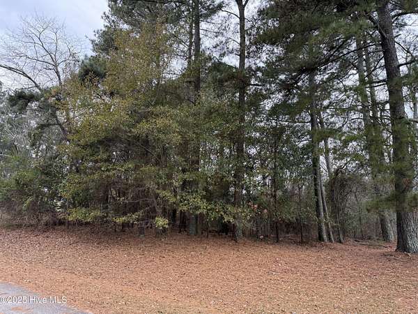0.46 Acres of Residential Land for Sale in Carthage, North Carolina